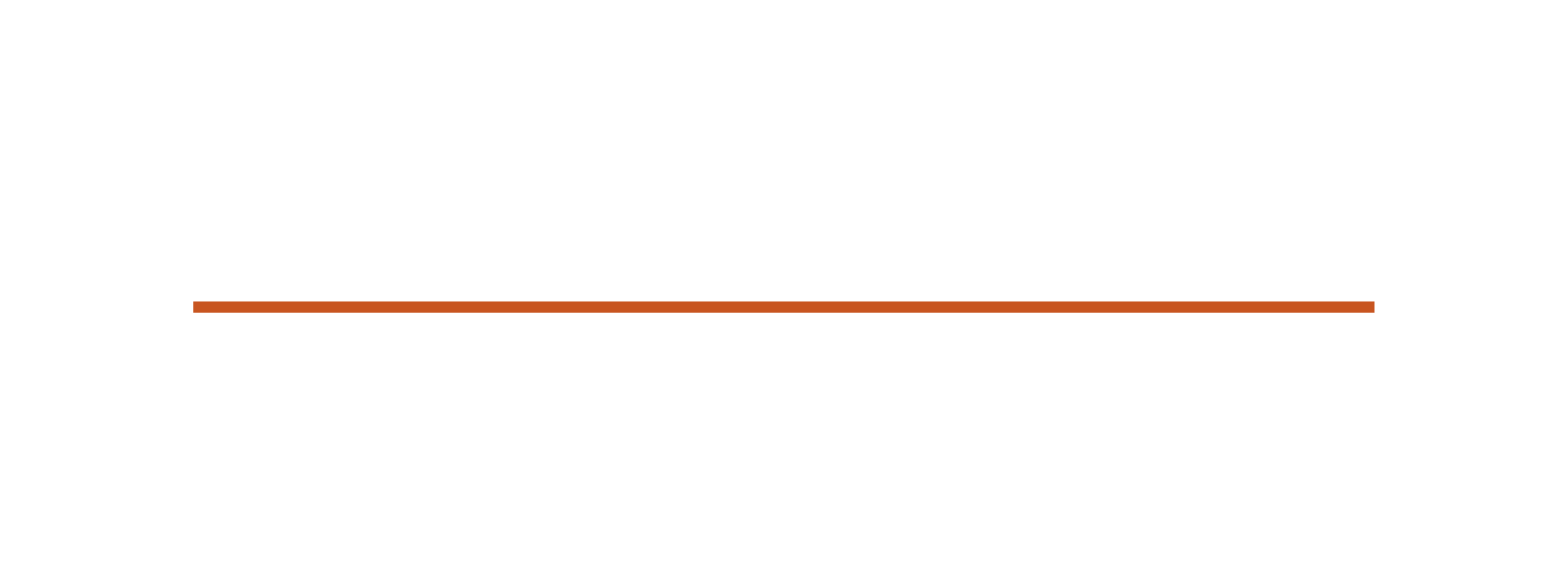 Argo Astronautics logo