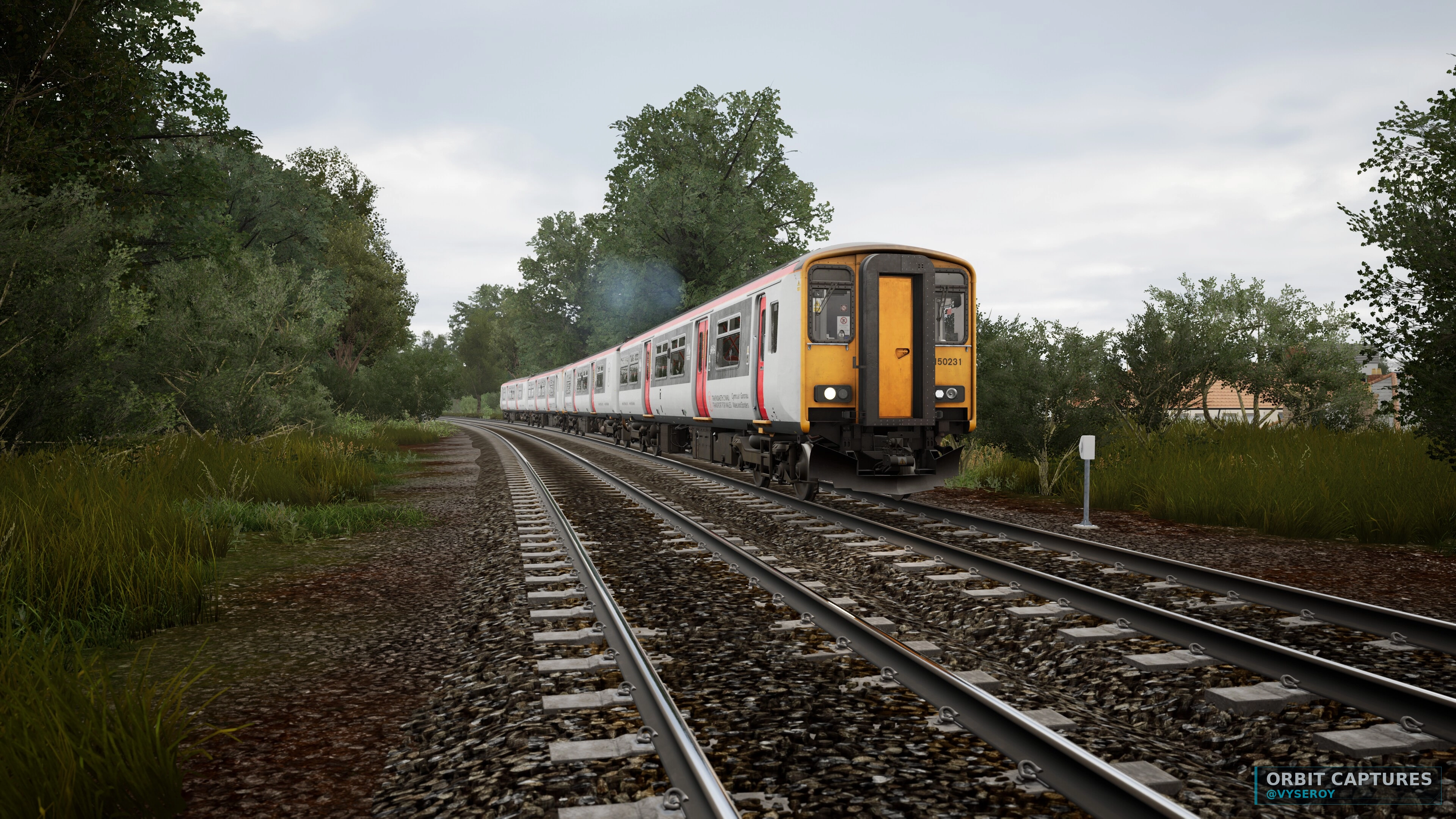 Pacer in the Countryside